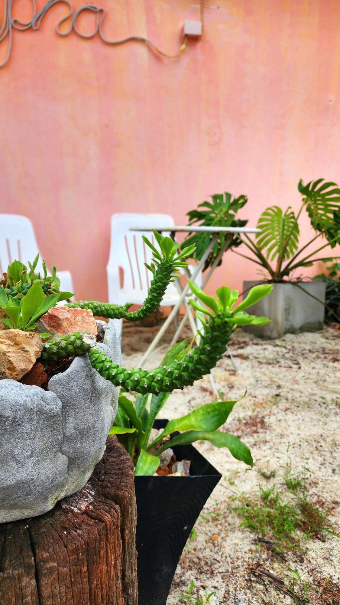 Ingpha Room For Rent Satun Luaran gambar